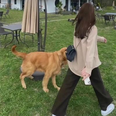 铁证悬案第六季